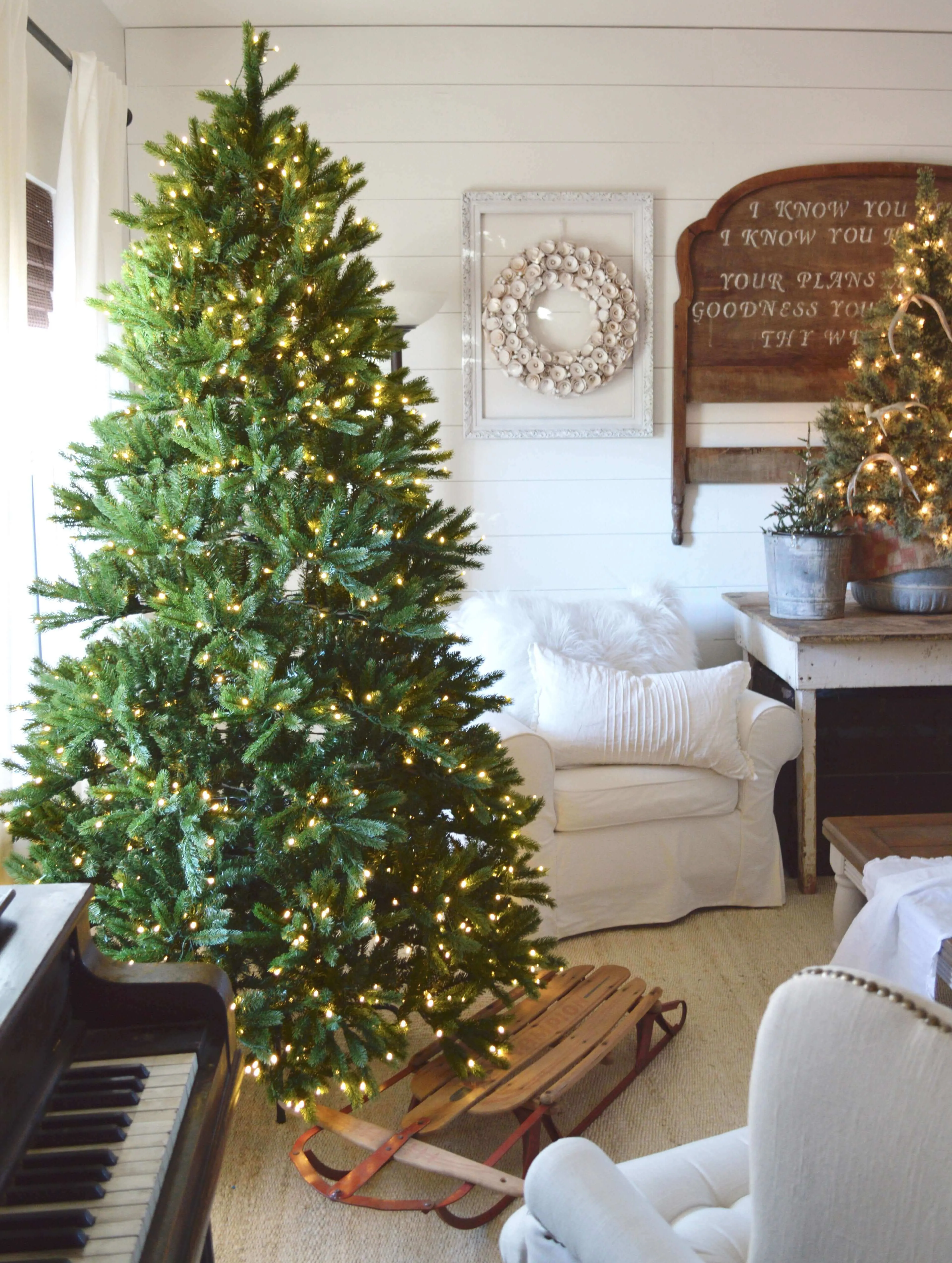 10' King Fraser Fir Artificial Christmas Tree with 1600 Warm White & Multi-Color LED Lights