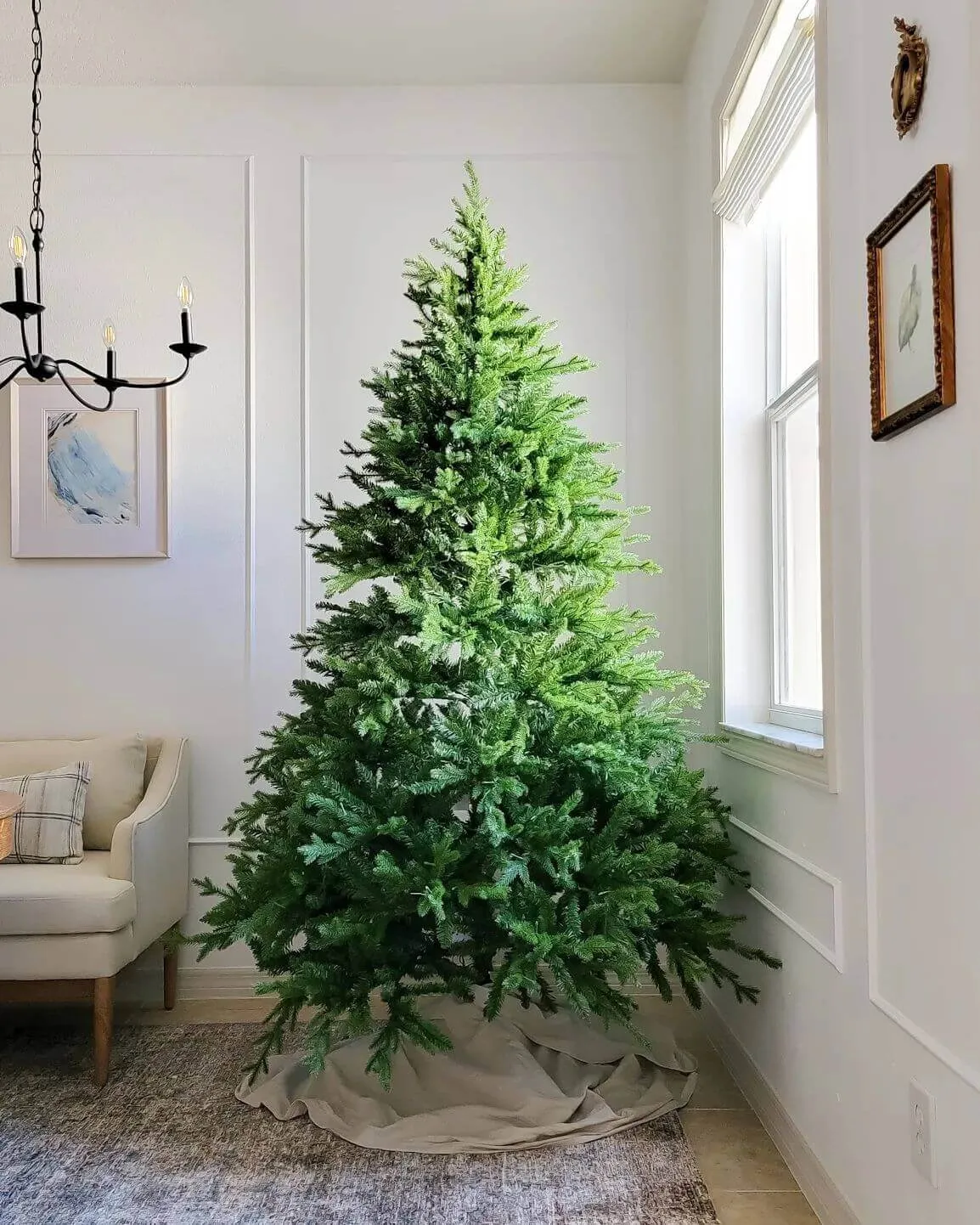 6.5' Scarlet Fir Artificial Christmas Tree Unlit