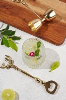 Saarang Bar Set | Lead-free Brass | Set of 4 | Gift set